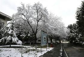 校园雪景，宝圣湖畔的童话世界